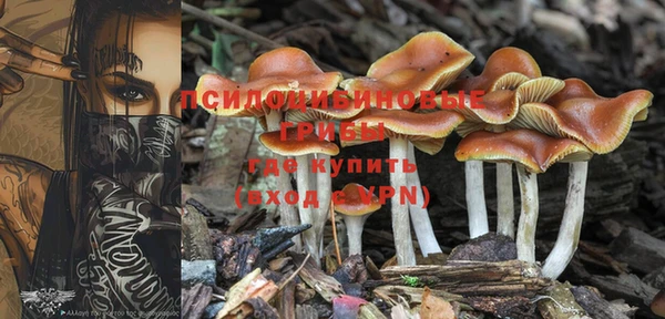 PSILOCYBIN Волгодонск
