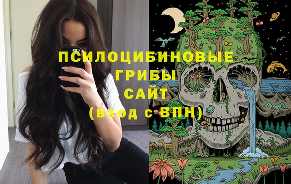 метамфетамин Алексеевка