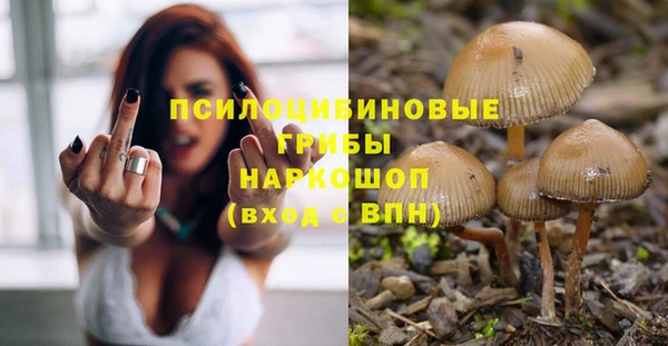 трава Алексин