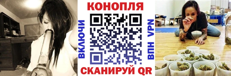 даркнет сайт  Зеленоградск  Бошки Шишки тримм 